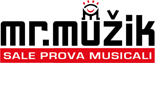 Logo mr.muzik x home