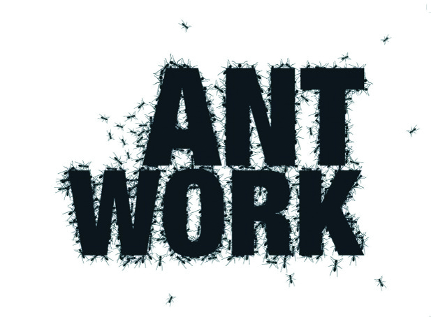 ANTWORK SUMMER 2011