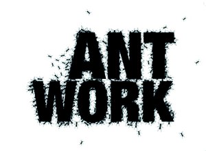 ANTWORK SUMMER 2011