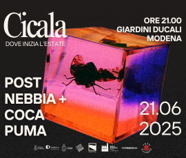 CICALA - Dove inizia l'estate