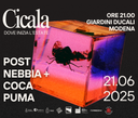 CICALA - Dove inizia l'estate