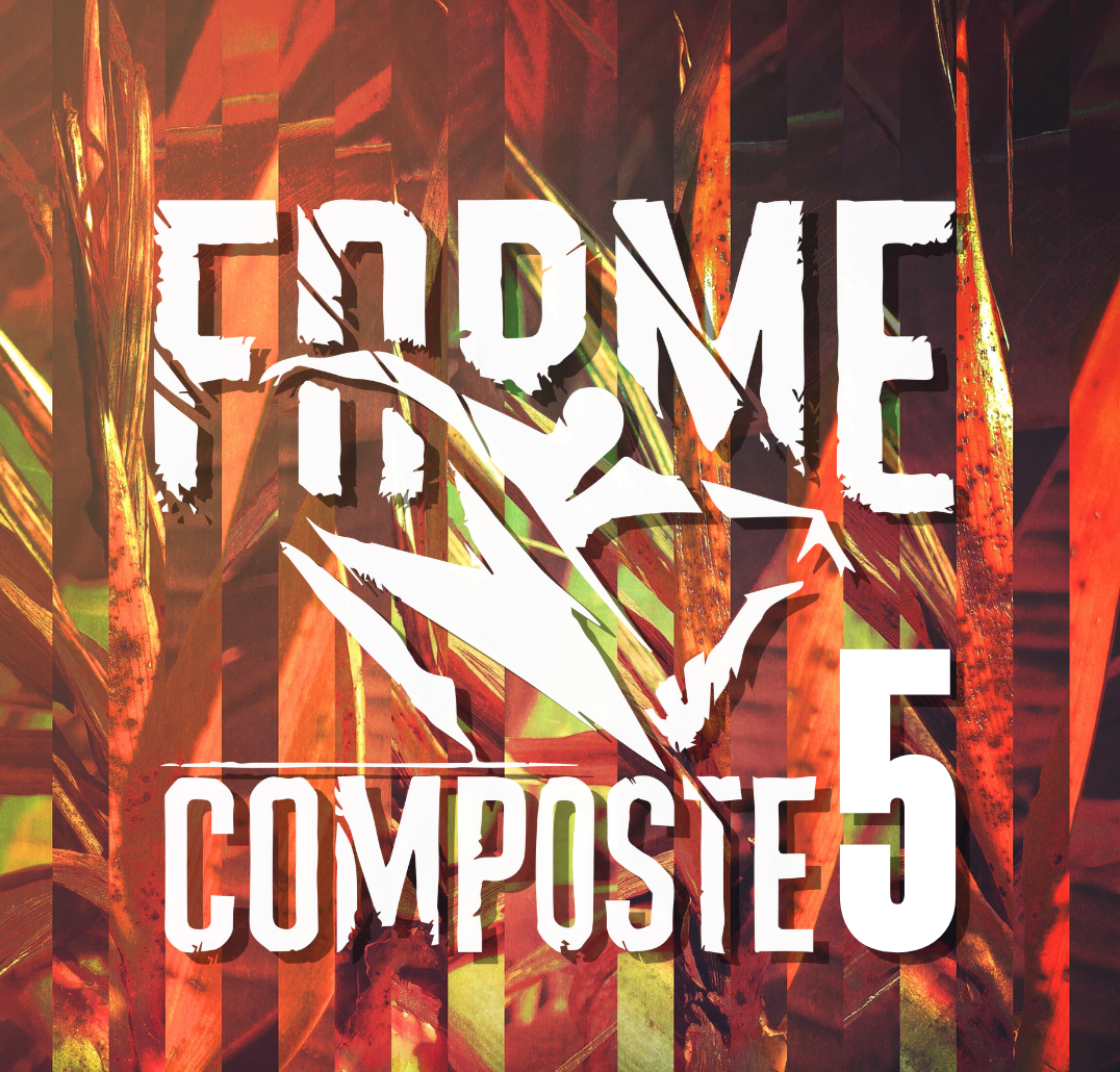 Forme Composte 5 - I risultati delle selezioni