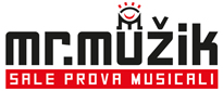 Mr.Muzik